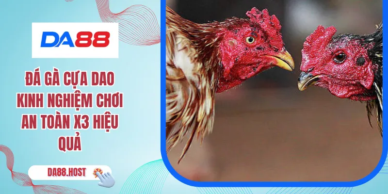 Đá Gà Cựa Dao Kinh Nghiệm Chơi An Toàn X3 Hiệu Quả