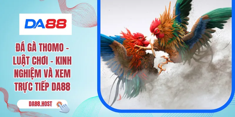 Đá Gà Cựa Sắt - Chiến Thuật Và Kinh Nghiệm Thi Đấu Tại DA88